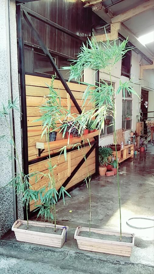 Chen The House Apartment Qingshui Bagian luar foto
