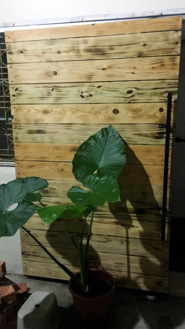 Chen The House Apartment Qingshui Bagian luar foto